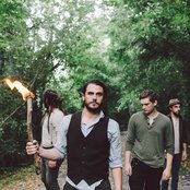 Fever Fever - List pictures