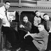 Voices Of Theory - List pictures