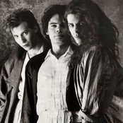 Alphaville - List pictures