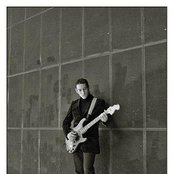 The Shake - List pictures