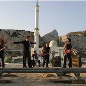 Breed 77 - List pictures