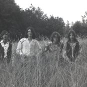 Short Cross - List pictures