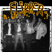 Flipper - List pictures