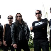 Viper - List pictures