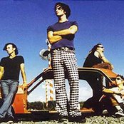 Dead Flowers - List pictures