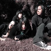 Scarling - List pictures