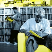 Sfdk - List pictures