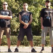 Datura - List pictures