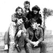 Cargo - List pictures