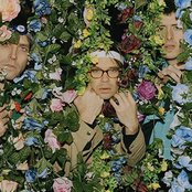 Trans Am - List pictures