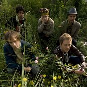 Honey Brothers - List pictures