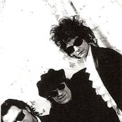 Big Electric Cat - List pictures