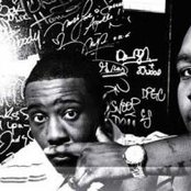 Little Brother - List pictures