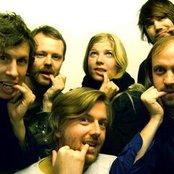 Moss - List pictures