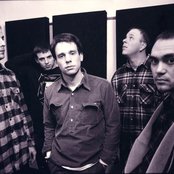 Tortoise - List pictures