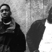 Jungle - List pictures