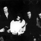 Desire - List pictures