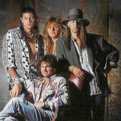 Roko - List pictures