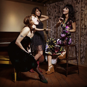 Puss N Boots - List pictures