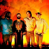 The Soft Hills - List pictures