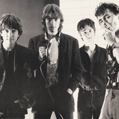 Soft Boys - List pictures