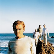 Bush - List pictures