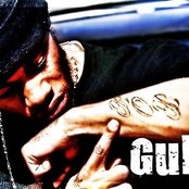 Young Gully - List pictures