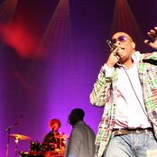 Dice Raw - List pictures