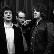 Deer Tick - List pictures