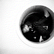 Thome Yorke - List pictures