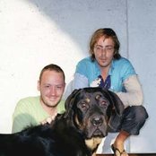 Basement Jaxx - List pictures