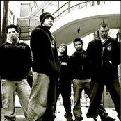 Digital Summer - List pictures