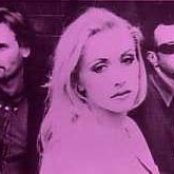 Peach - List pictures