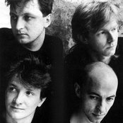 Shriekback - List pictures