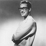 Holly Buddy - List pictures