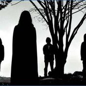 Bay Laurel - List pictures