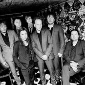 Weeping Willows - List pictures