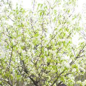 Telekinesis - List pictures