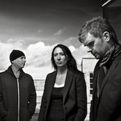 Hybrid - List pictures