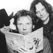 Fatima Mansions - List pictures