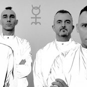 Coil - List pictures