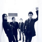 Jaguares - List pictures