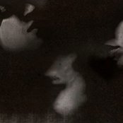 Halos - List pictures