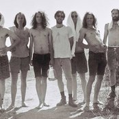King Gizzard And The Lizard Wizard - List pictures