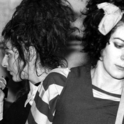 Slits - List pictures