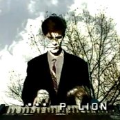 P. Lion - List pictures