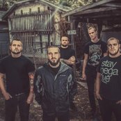 Bermuda - List pictures