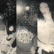 Sarcastic - List pictures