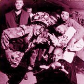 Digital Underground - List pictures
