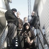 King - List pictures